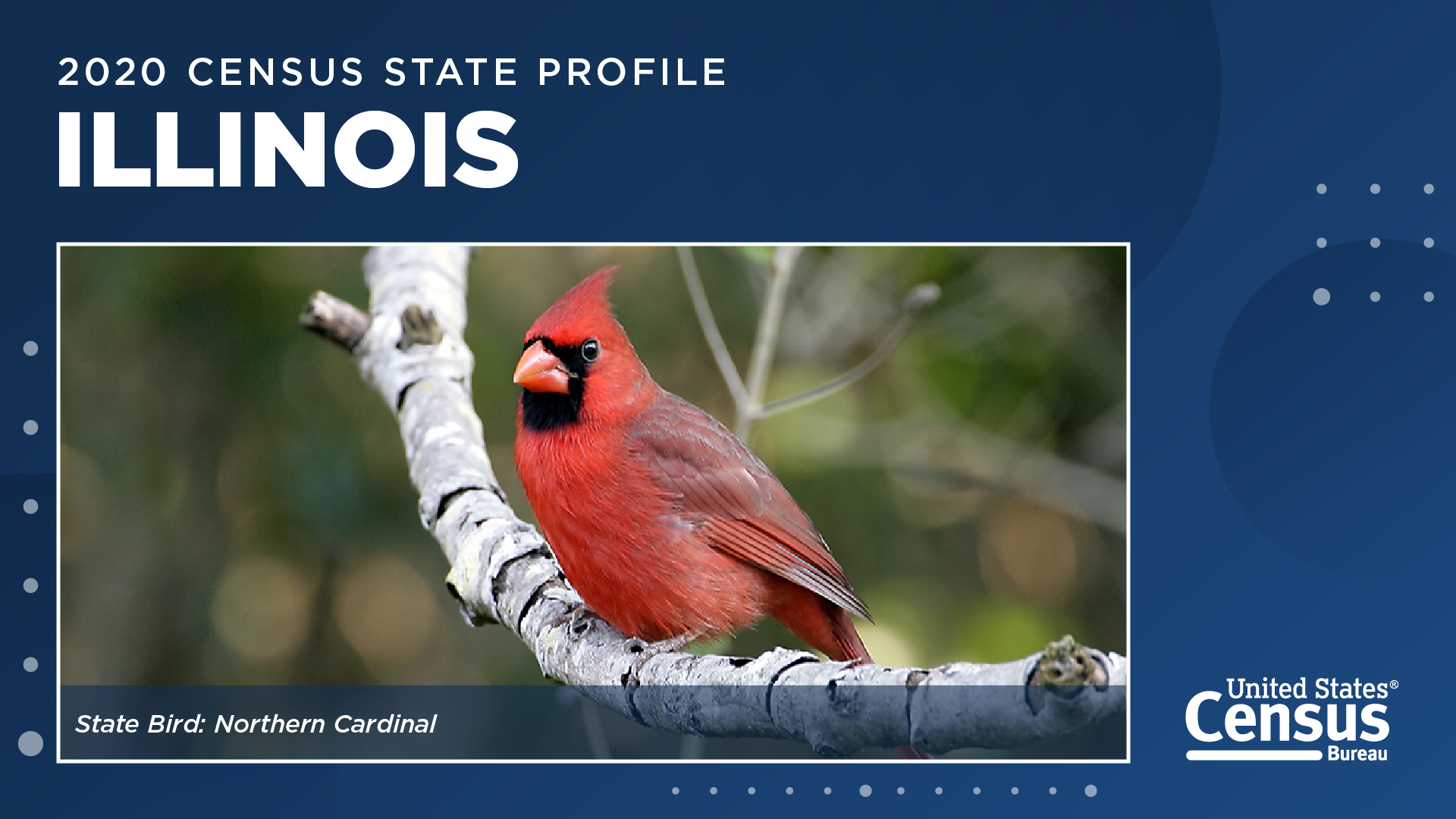 2020 State Profile: Illinois