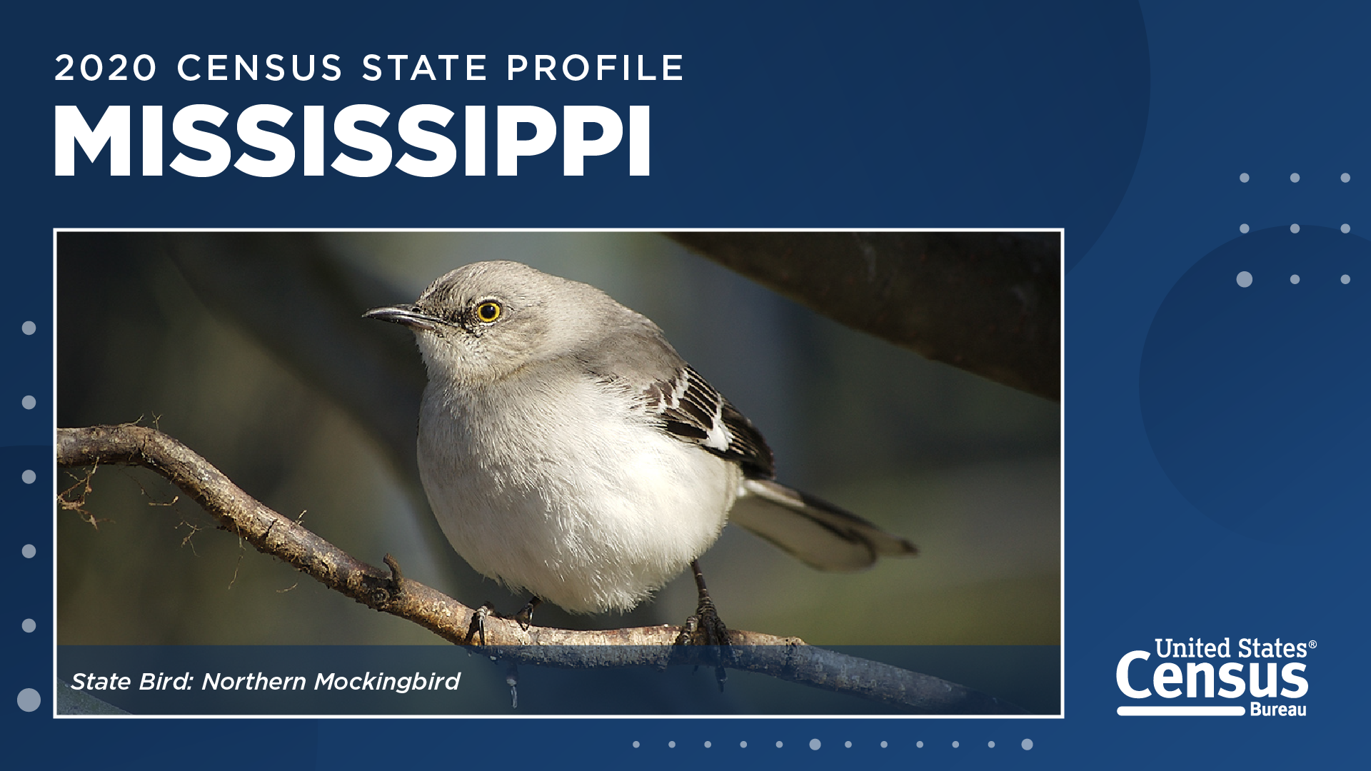 2020 Census State Profile: Mississippi