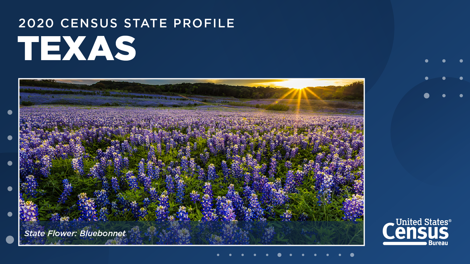 2020 Census State Profile: Texas