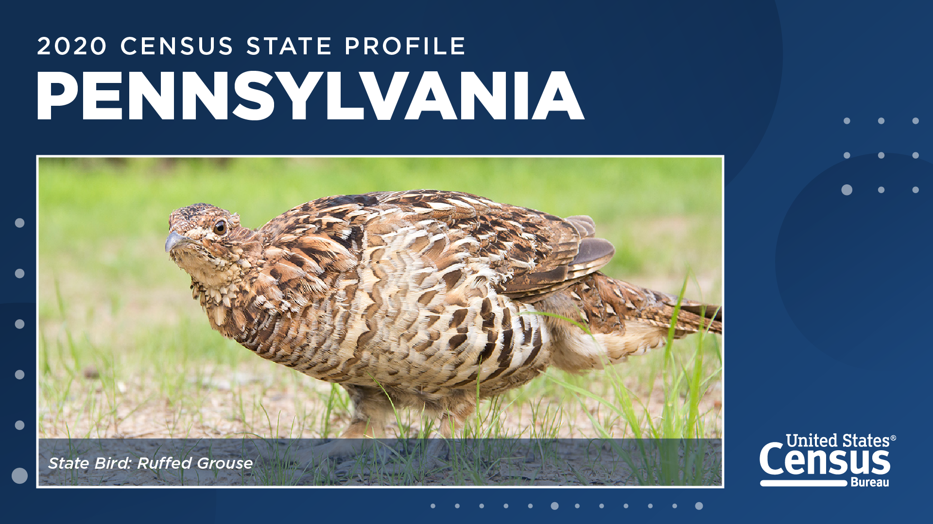 2020 Census State Profile: Pennsylvania