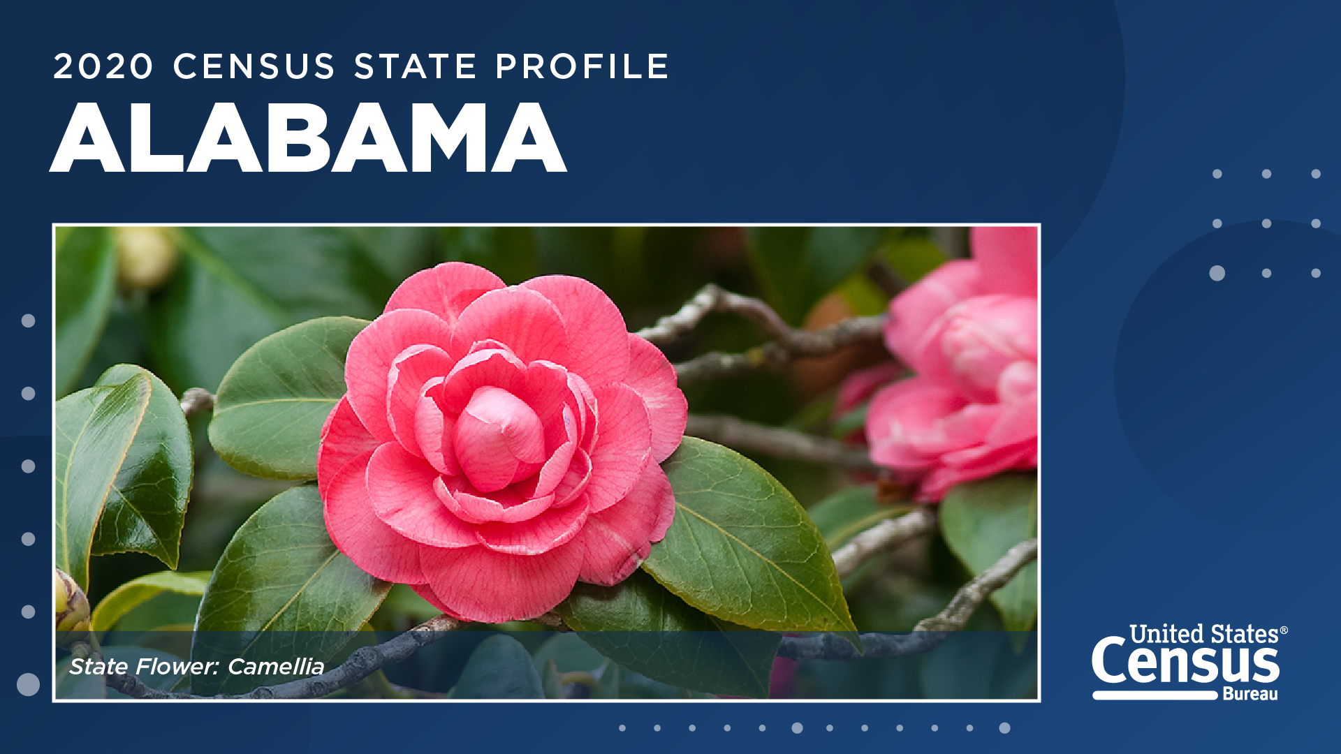 2020 Census State Profile: Alabama