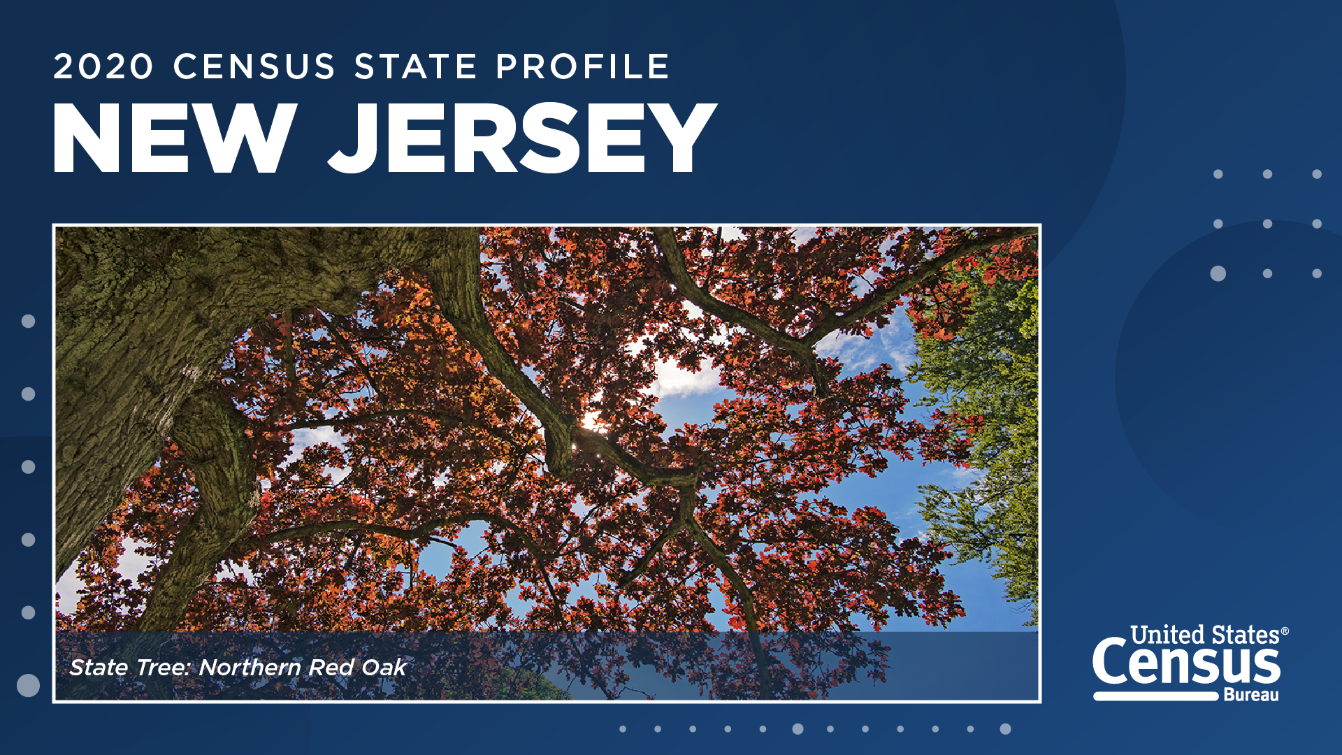 2020 Census State Profile: New Jersey