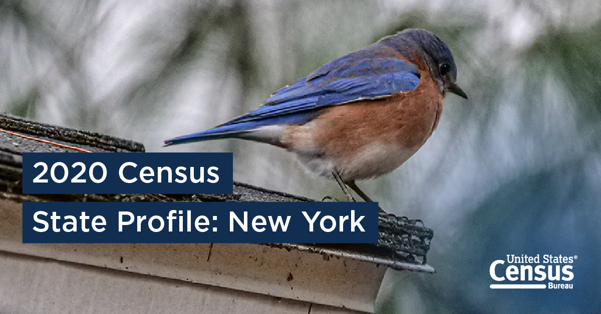 2020 Census State Profile: New York