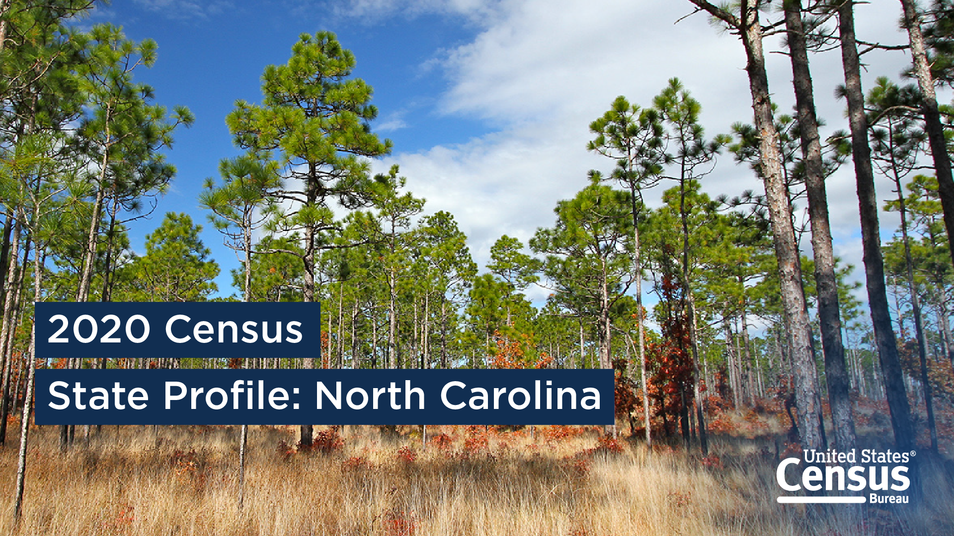 2020 Census State Profile: North Carolina