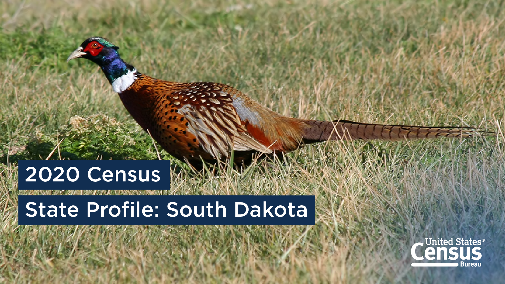 2020 State Profile: South Dakota