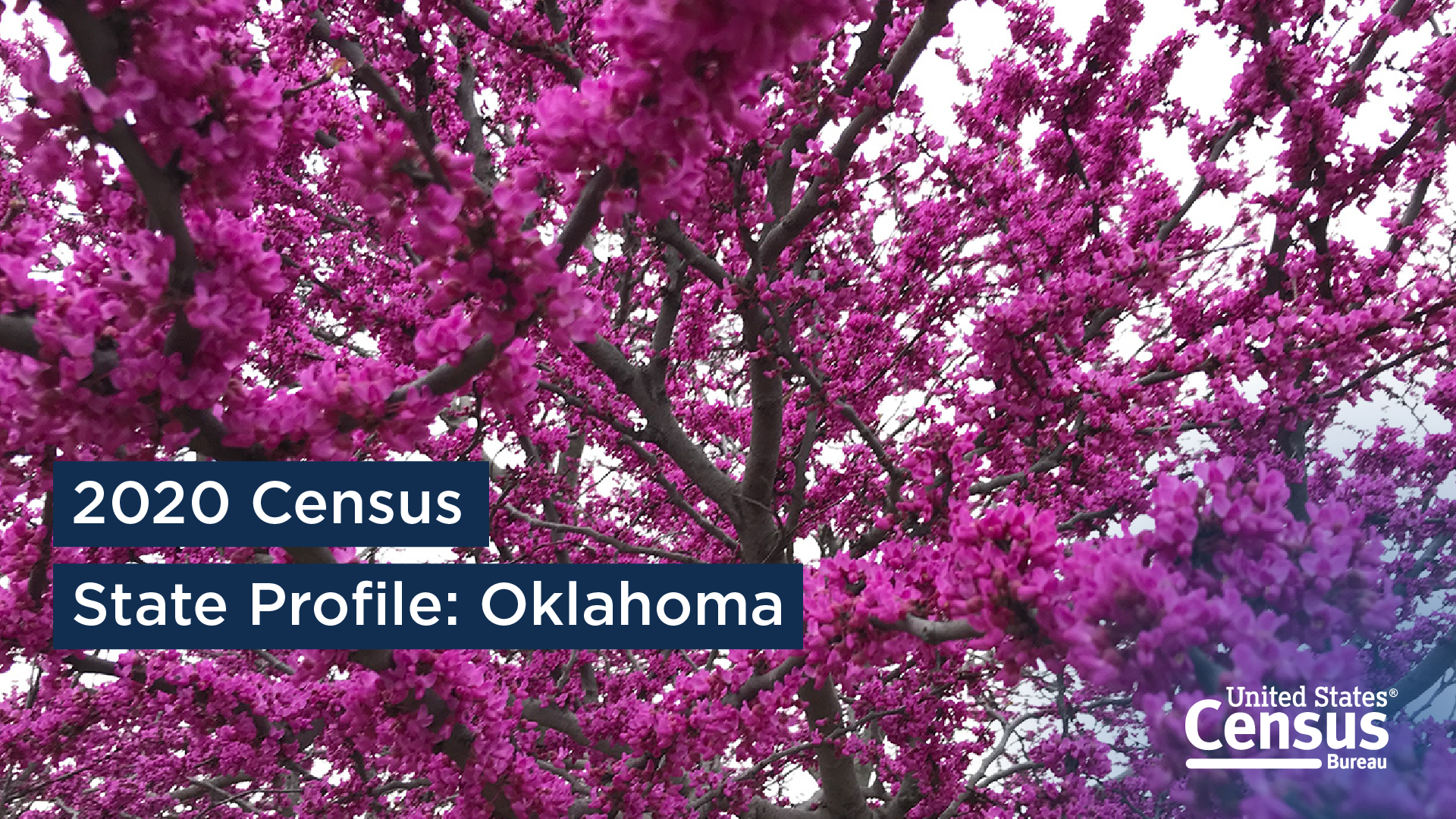 2020 Census State Profile: Oklahoma
