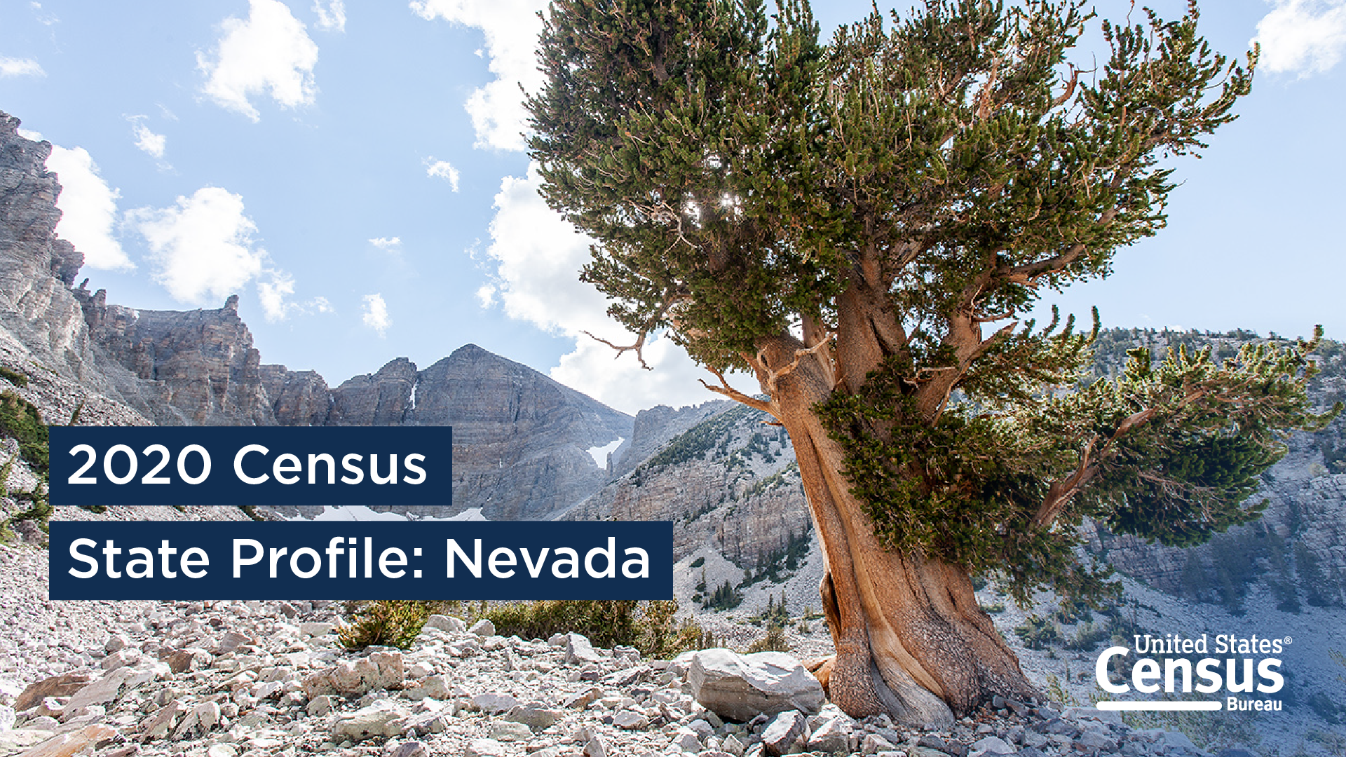 2020 State Profile: Nevada