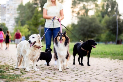 Half of American households own pets and money spent on time-saving pet care services doubled in the last decade. 