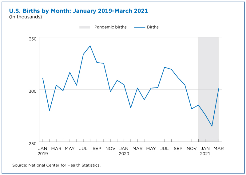 Figure 1. U.S. Births by Month: January 2019-March 2021