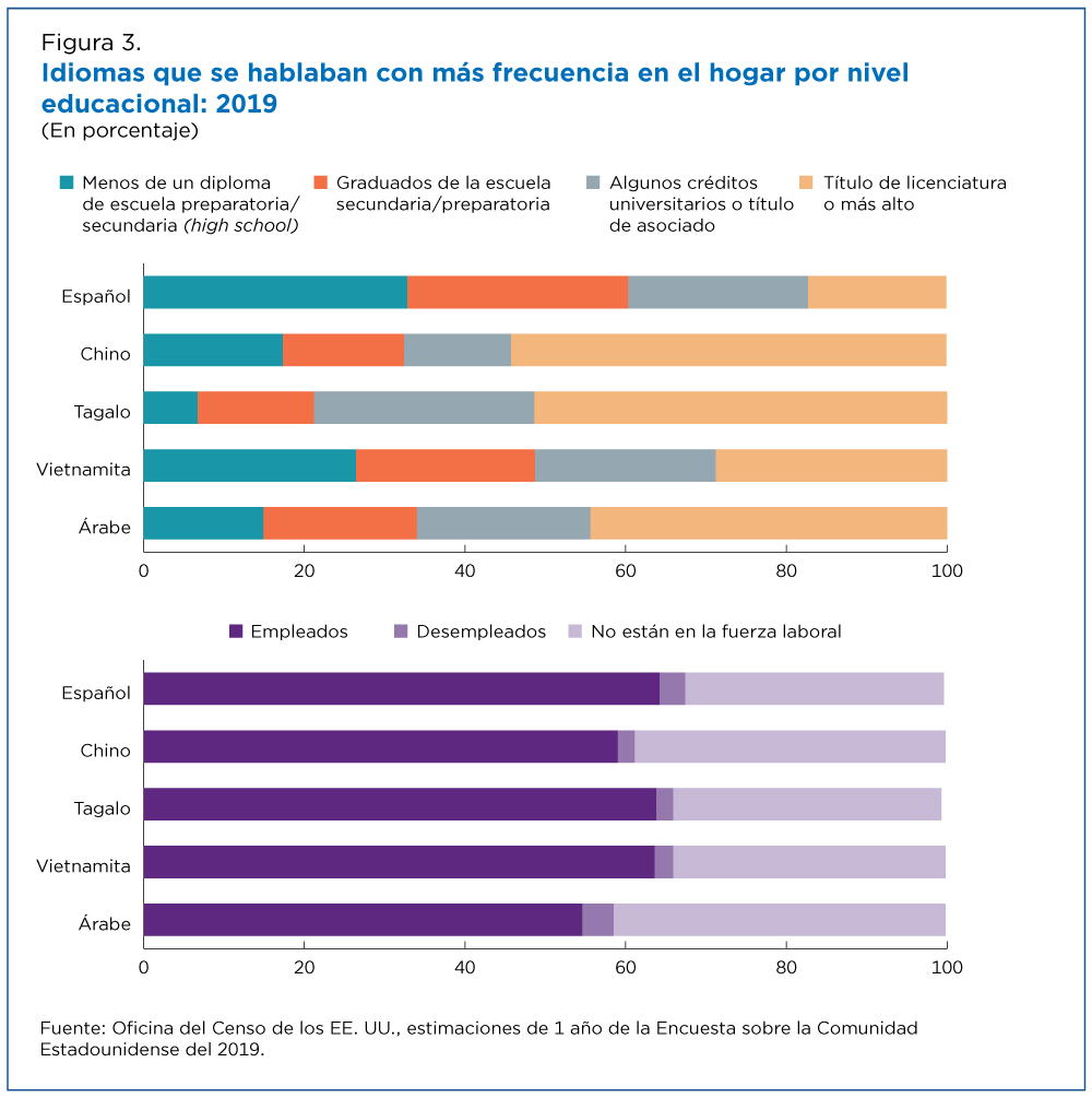 Figura 3.  ldiomas que se hablaban con más frecuencia en el hogar por nivel educacional: 2019 