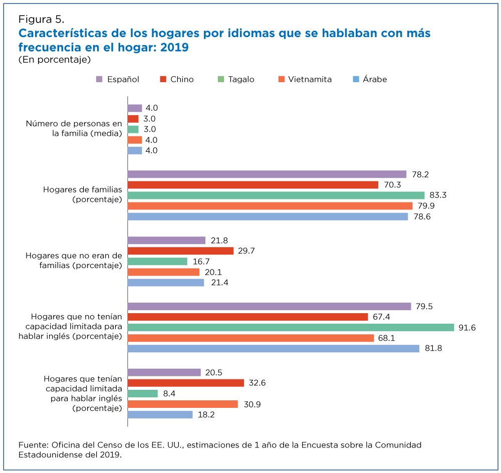 Figura 5. Características de los hogares por idiomas que se hablaban con más frecuencia en el hogar: 2019 