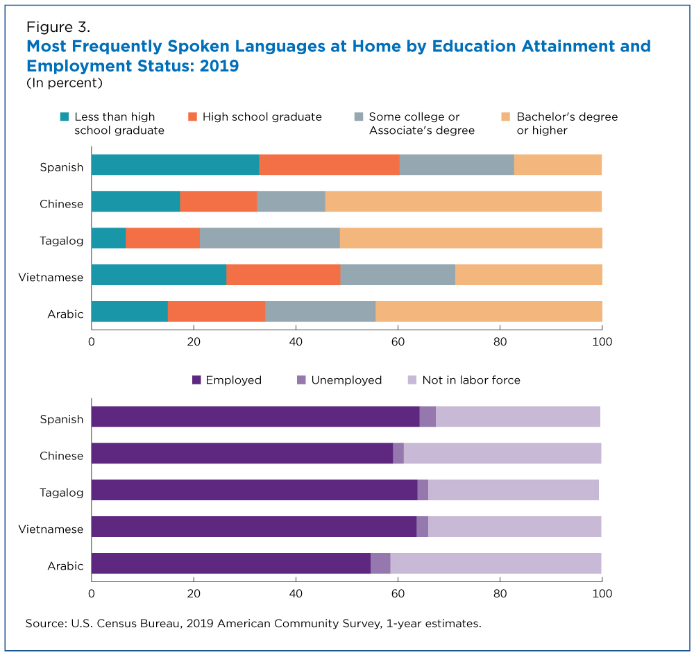 Figure 3. Most Frequently Spoken Languages at Home by Education Attainment and Employment Status: 2019