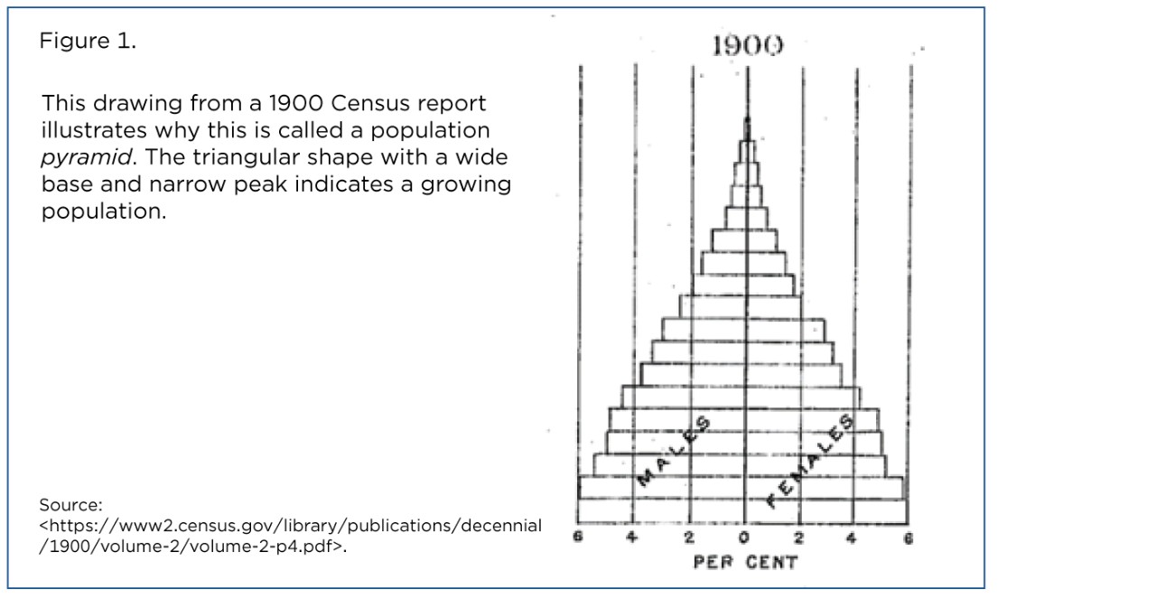 Figure 1. 1900 Census Report Population Pyramid Drawing