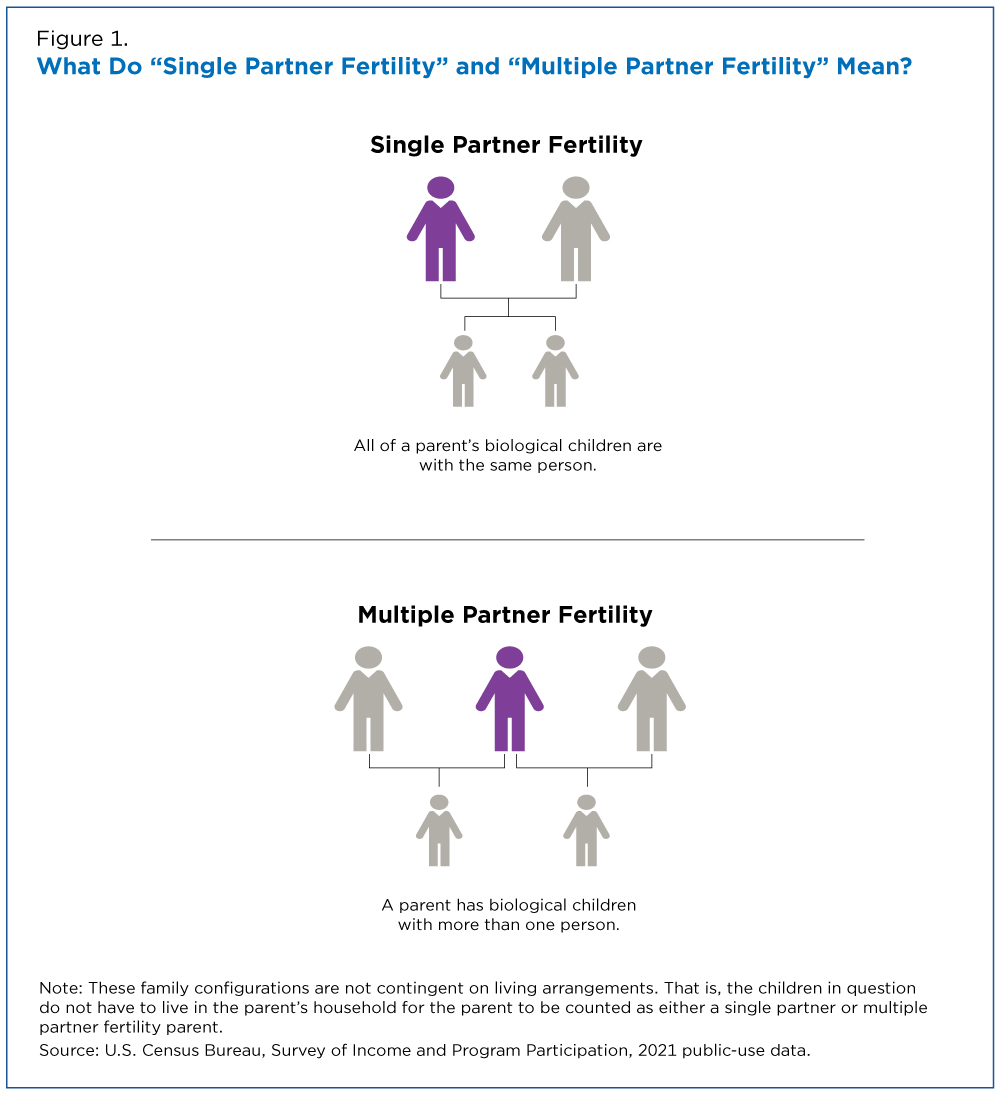 Figure 1. What Do “Single Partner Fertility” and “Multiple Partner Fertility” Mean?