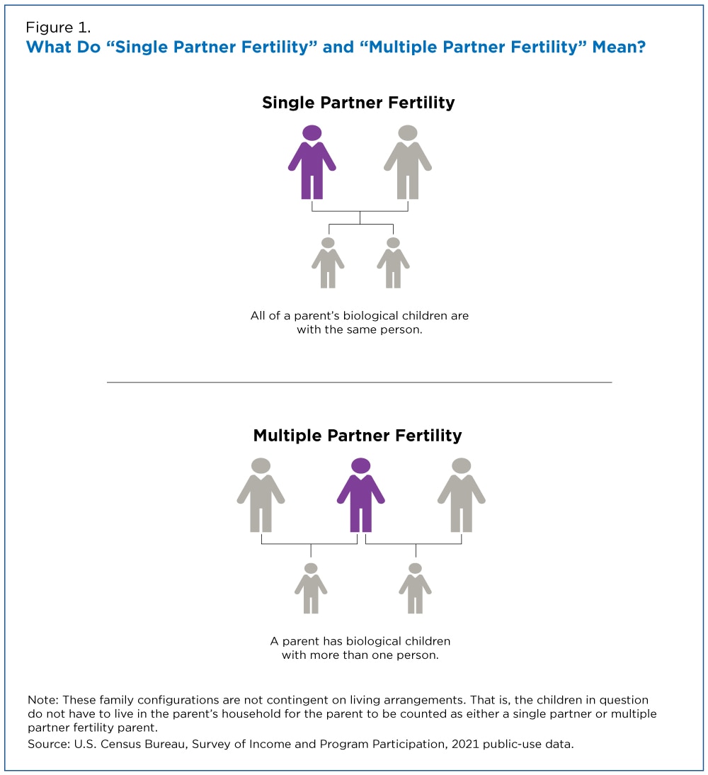 Figure 1. What Do “Single Partner Fertility” and “Multiple Partner Fertility” Mean?