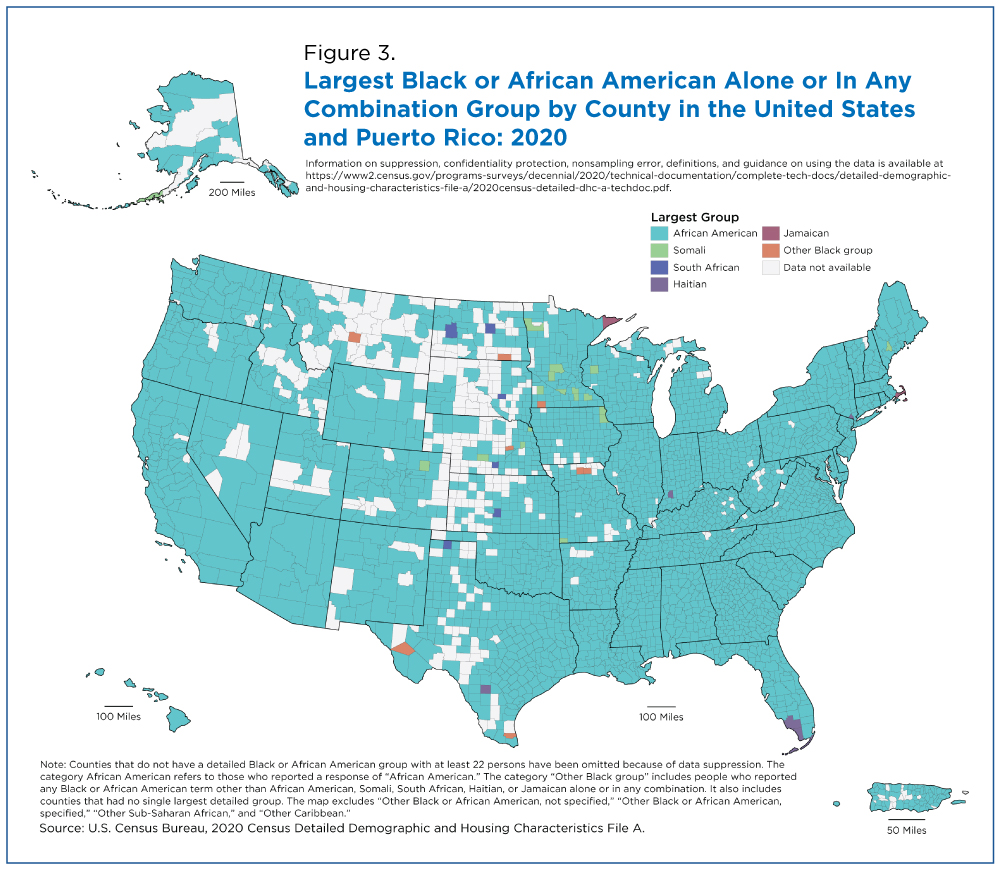 Figure 3. Largest Black or African American Alone or In Any Combination Group by County in the United States and Puerto Rico: 2020