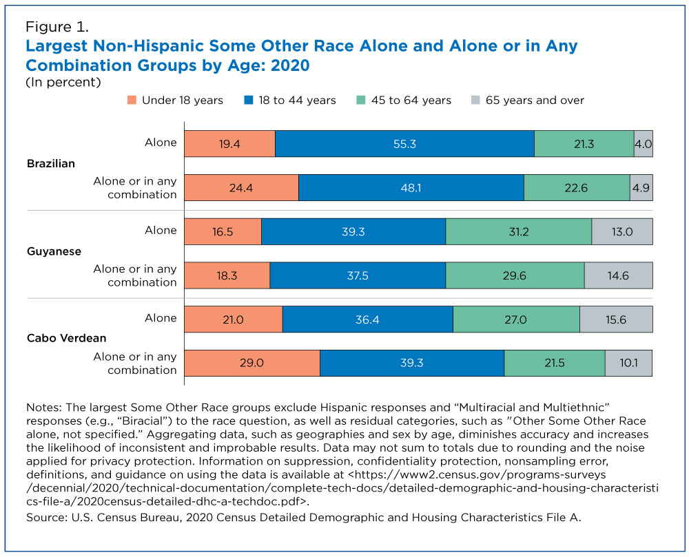 Figure 1. Largest Non-Hispanic Some Other Race Alone and Alone or in Any Combination Groups by Age: 2020