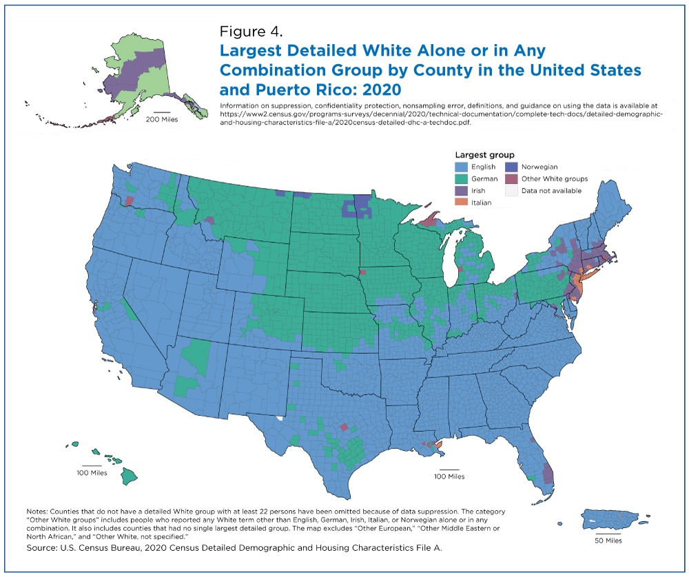Figure 4. Largest Detailed White Alone or in Any Combination Group by County in the United States and Puerto Rico: 2020