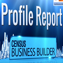 Census Business Builder: Small Business Edition Profile Report