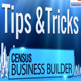 Census Business Builder: Tips and Tricks