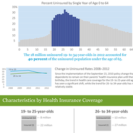 The Young and Uninsured in 2012