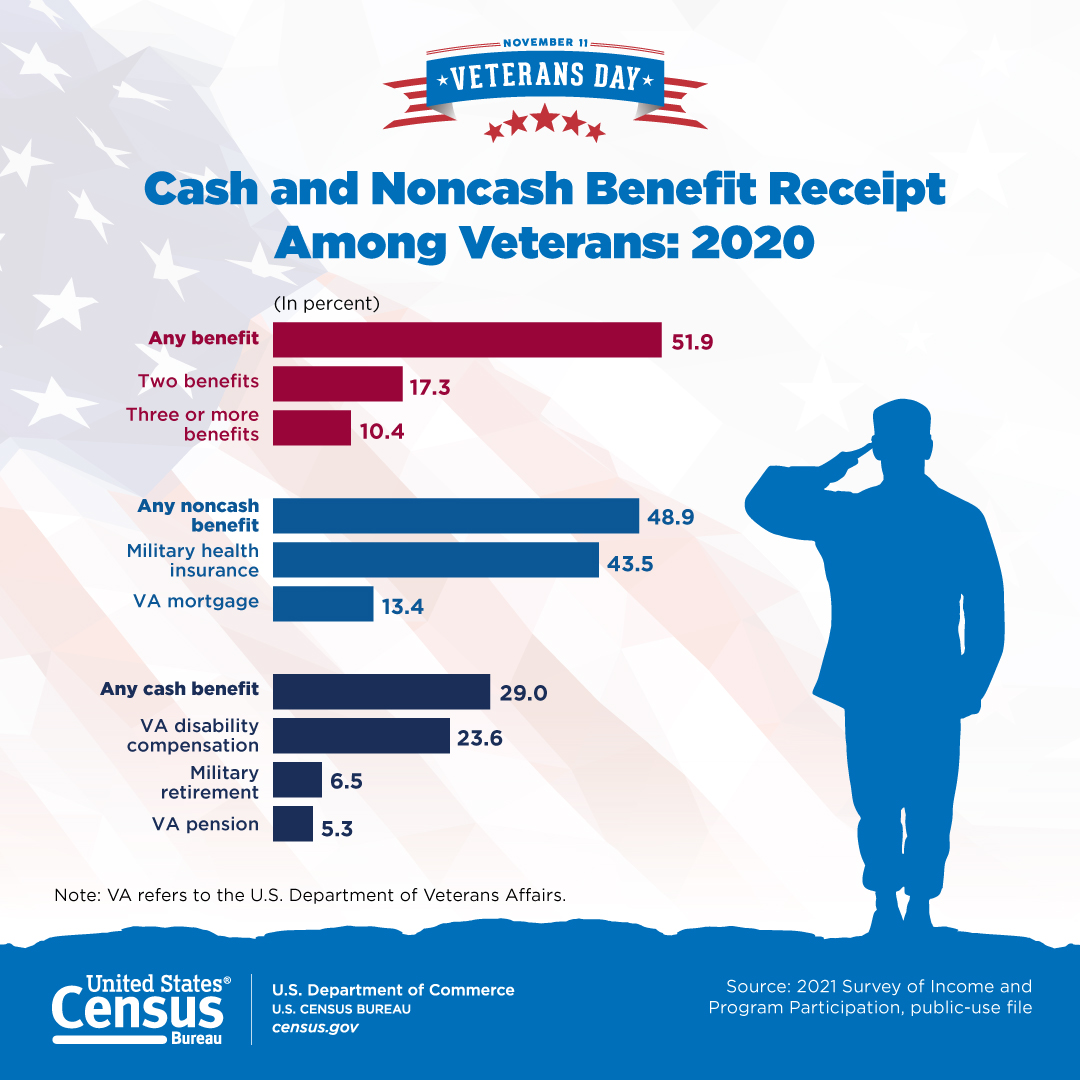 Cash and Noncash Benefit Receipt Among Veterans: 2020