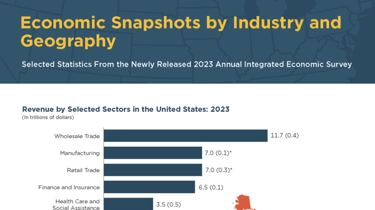 Economic Snapshots by Industry and Geography