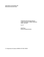 Workers With Disabilities in Large and Small Firms:  Profiles from the SIPP