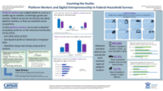 Counting the Hustle: Platform Workers and Digital Entrepreneurship in Federal Household Surveys