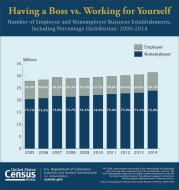 Nonemployer business 9