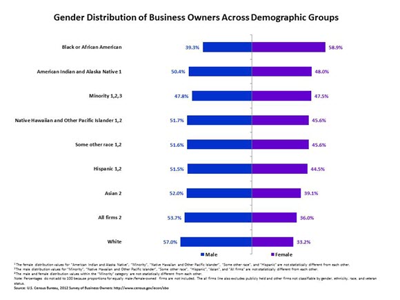 Gender Distribution of Business Owners Across Demographic Groups