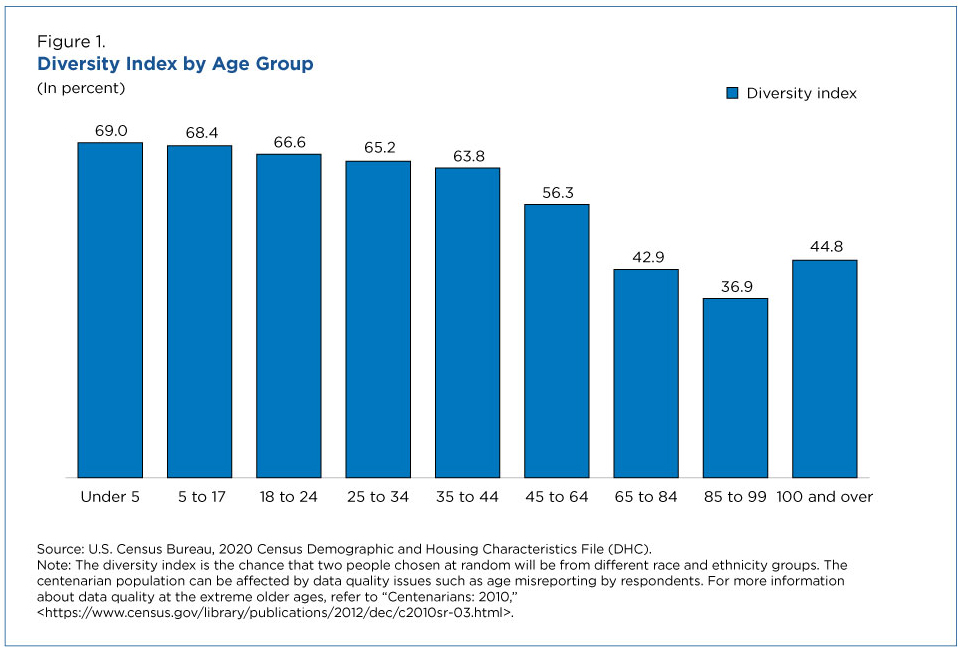 Figure 1. Diversity Index by Age Group