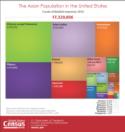 The Asian Population in the United States