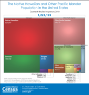 The Native Hawaiian and Other Pacific Islander Population in the United States