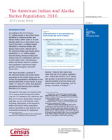 AIAN brief
