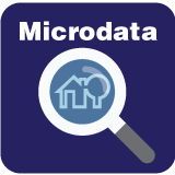 Micro Data