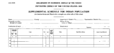 1930 Census Indian Questionnaire