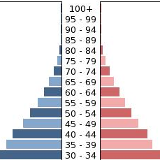 Population Pyramid