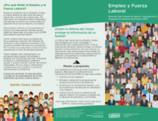 2022 SIPP Employment Labor Force Brochure Spanish