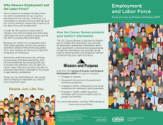 2022 SIPP Employment Labor Force Brochure English