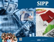 SIPP Wealth Brochure
