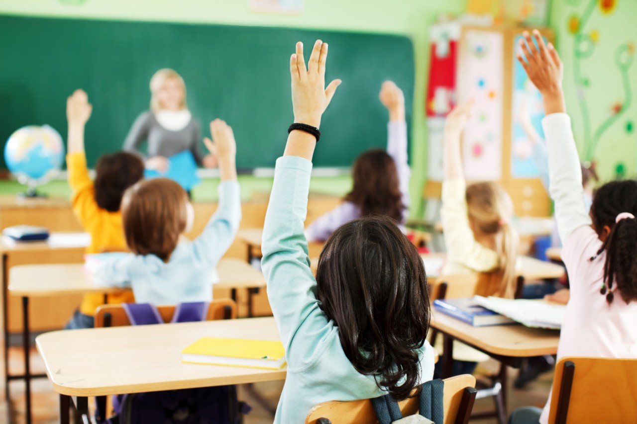 Portrait of back - Children are raised hands in classroom.