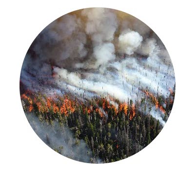 Wildfires